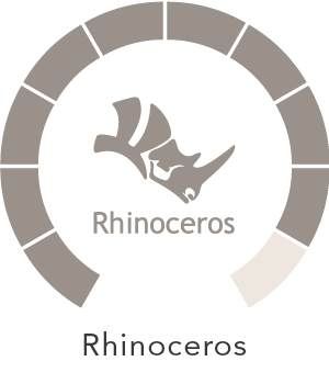 RHINO
